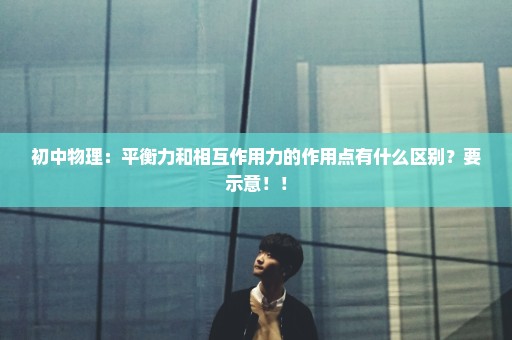 初中物理：平衡力和相互作用力的作用点有什么区别？要示意！！