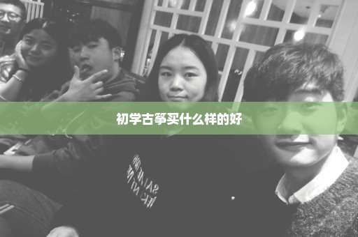 初学古筝买什么样的好
