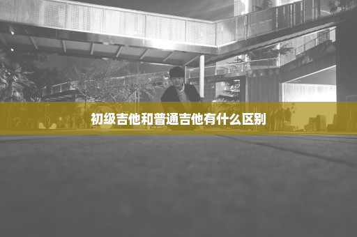 初级吉他和普通吉他有什么区别