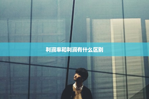 利润率和利润有什么区别