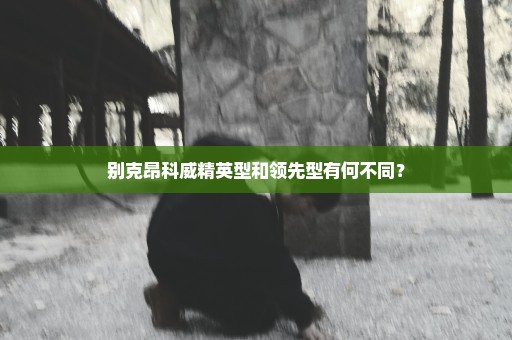 别克昂科威精英型和领先型有何不同？