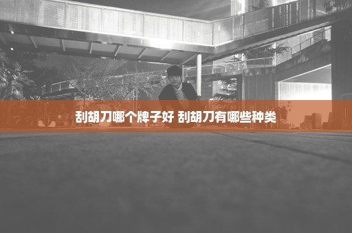 刮胡刀哪个牌子好 刮胡刀有哪些种类