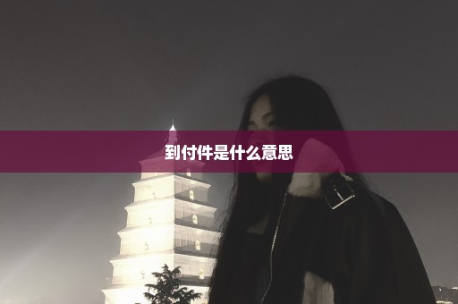 到付件是什么意思