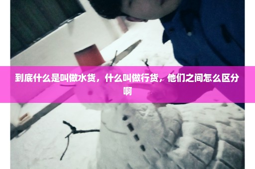 到底什么是叫做水货，什么叫做行货，他们之间怎么区分啊