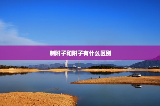 制附子和附子有什么区别