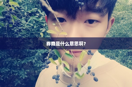 券商是什么意思啊？