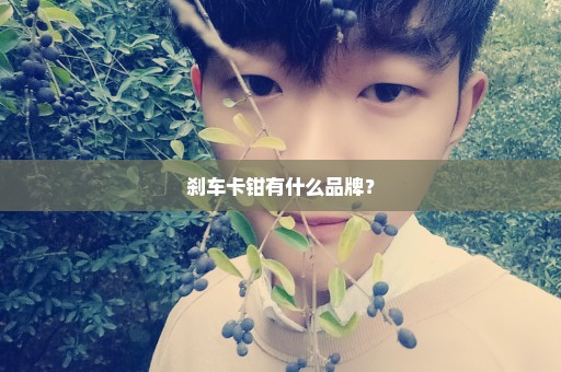 刹车卡钳有什么品牌？