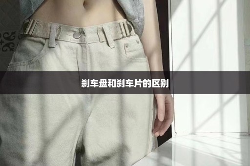 刹车盘和刹车片的区别