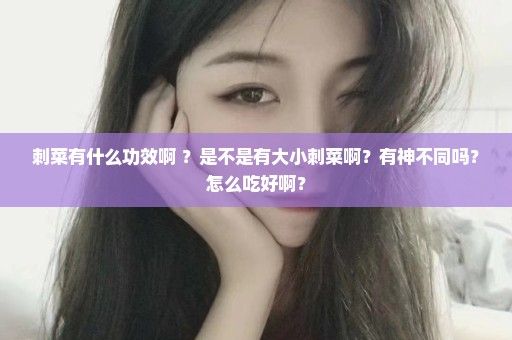刺菜有什么功效啊 ？是不是有大小刺菜啊？有神不同吗？怎么吃好啊？