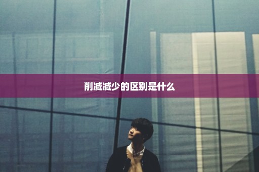 削减减少的区别是什么
