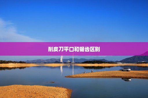 削皮刀平口和锯齿区别