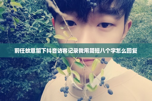 前任故意留下抖音访客记录我用简短八个字怎么回复
