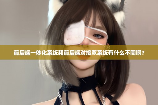前后端一体化系统和前后端对接双系统有什么不同啊？