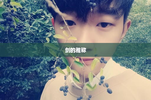 剑的雅称
