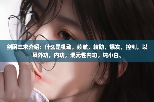 剑网三求介绍：什么是机动，续航，辅助，爆发，控制，以及外功，内功，混元性内功。纯小白。
