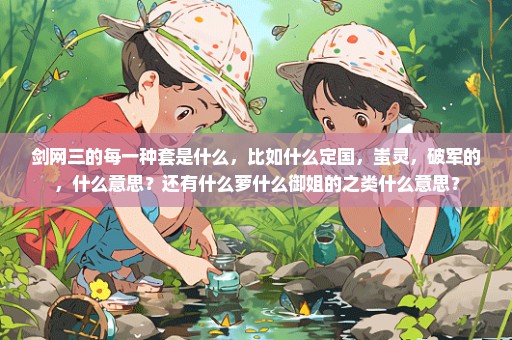 剑网三的每一种套是什么，比如什么定国，蚩灵，破军的，什么意思？还有什么萝什么御姐的之类什么意思？