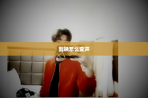剪映怎么变声