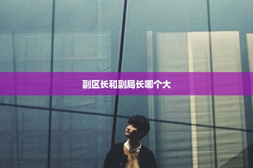 副区长和副局长哪个大