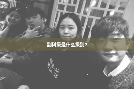 副科级是什么级别？
