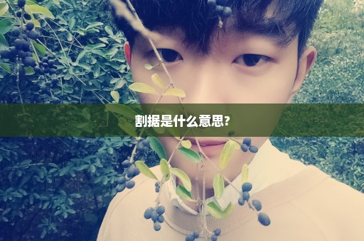 割据是什么意思?
