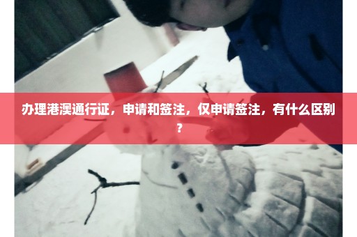 办理港澳通行证，申请和签注，仅申请签注，有什么区别？
