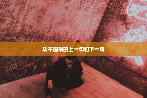 功不唐捐的上一句和下一句