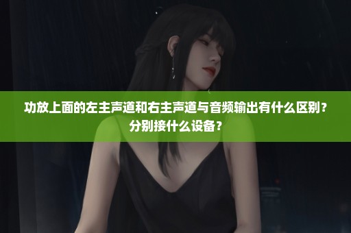 功放上面的左主声道和右主声道与音频输出有什么区别？分别接什么设备？