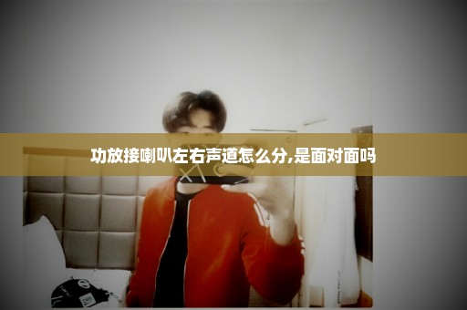 功放接喇叭左右声道怎么分,是面对面吗