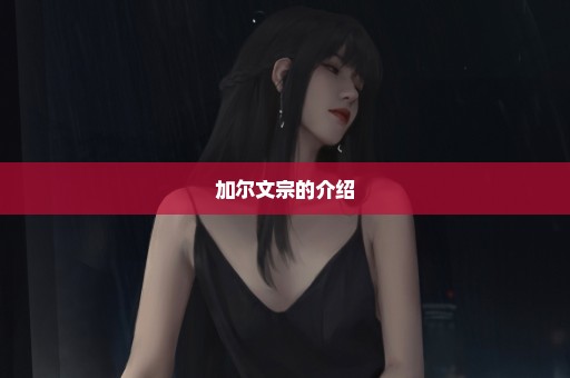 加尔文宗的介绍