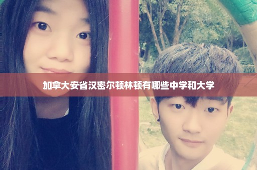 加拿大安省汉密尔顿林顿有哪些中学和大学
