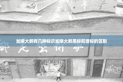 加拿大鹅有几种标识加拿大鹅黑标和普标的区别