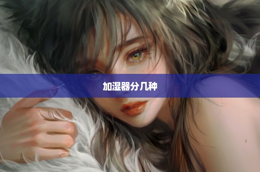 加湿器分几种