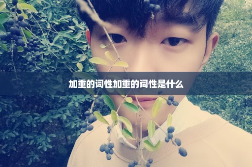 加重的词性加重的词性是什么