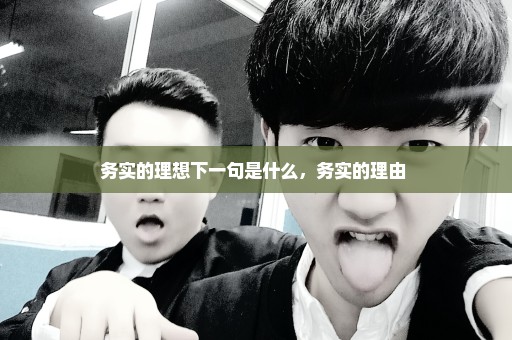 务实的理想下一句是什么，务实的理由 