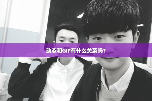 动态和GIF有什么关系吗？