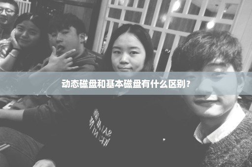 动态磁盘和基本磁盘有什么区别？