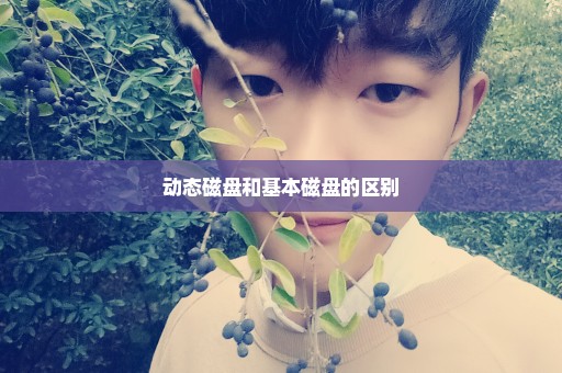 动态磁盘和基本磁盘的区别