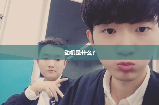 动机是什么?