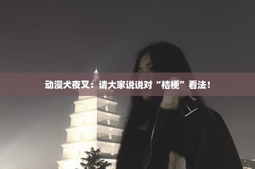 动漫犬夜叉：请大家说说对“桔梗”看法！