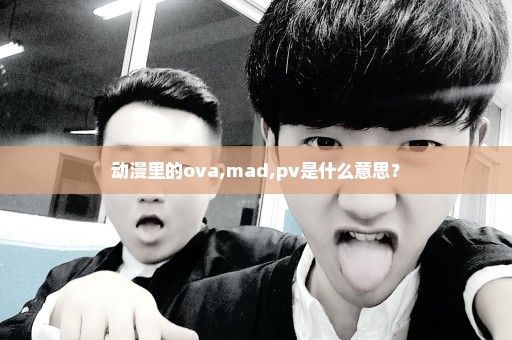 动漫里的ova,mad,pv是什么意思？