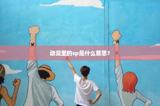 动漫里的sp是什么意思？