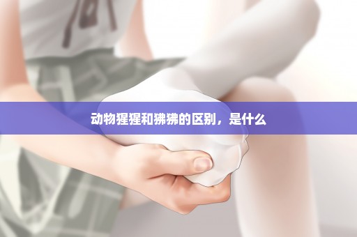动物猩猩和狒狒的区别，是什么