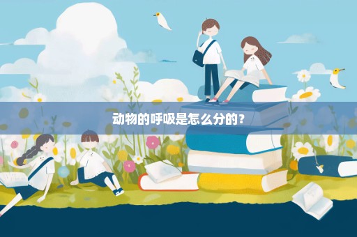 动物的呼吸是怎么分的？