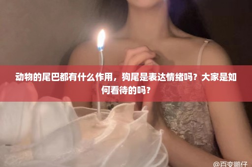动物的尾巴都有什么作用，狗尾是表达情绪吗？大家是如何看待的吗？