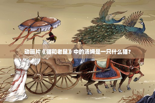 动画片《猫和老鼠》中的汤姆是一只什么猫？