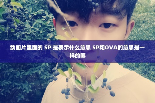 动画片里面的 SP 是表示什么意思 SP和OVA的意思是一样的嘛