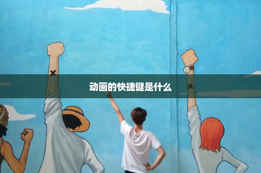 动画的快捷键是什么
