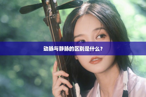动脉与静脉的区别是什么？