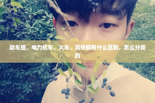 动车组、电力机车、火车、高铁都有什么区别，怎么分类的