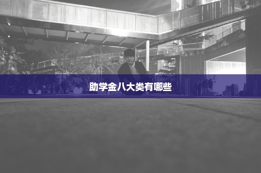 助学金八大类有哪些